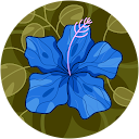 Selene Villata profile picture